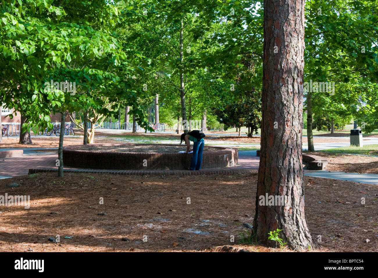 Lone studente si prepara per la classe presso l'Università della Carolina del Nord, Wilmington. Foto Stock