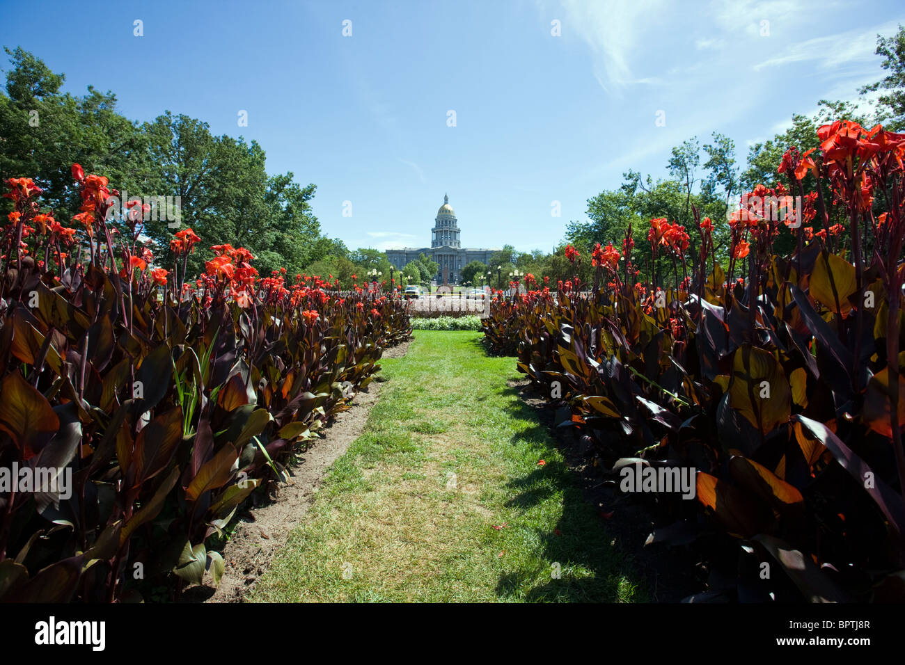 Colorado State Capital Building visto dal Civic Center Park, Denver, Colorado, STATI UNITI D'AMERICA Foto Stock