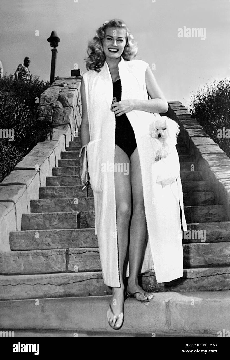 ANITA EKBERG con cane barboncino attrice (1958) Foto Stock