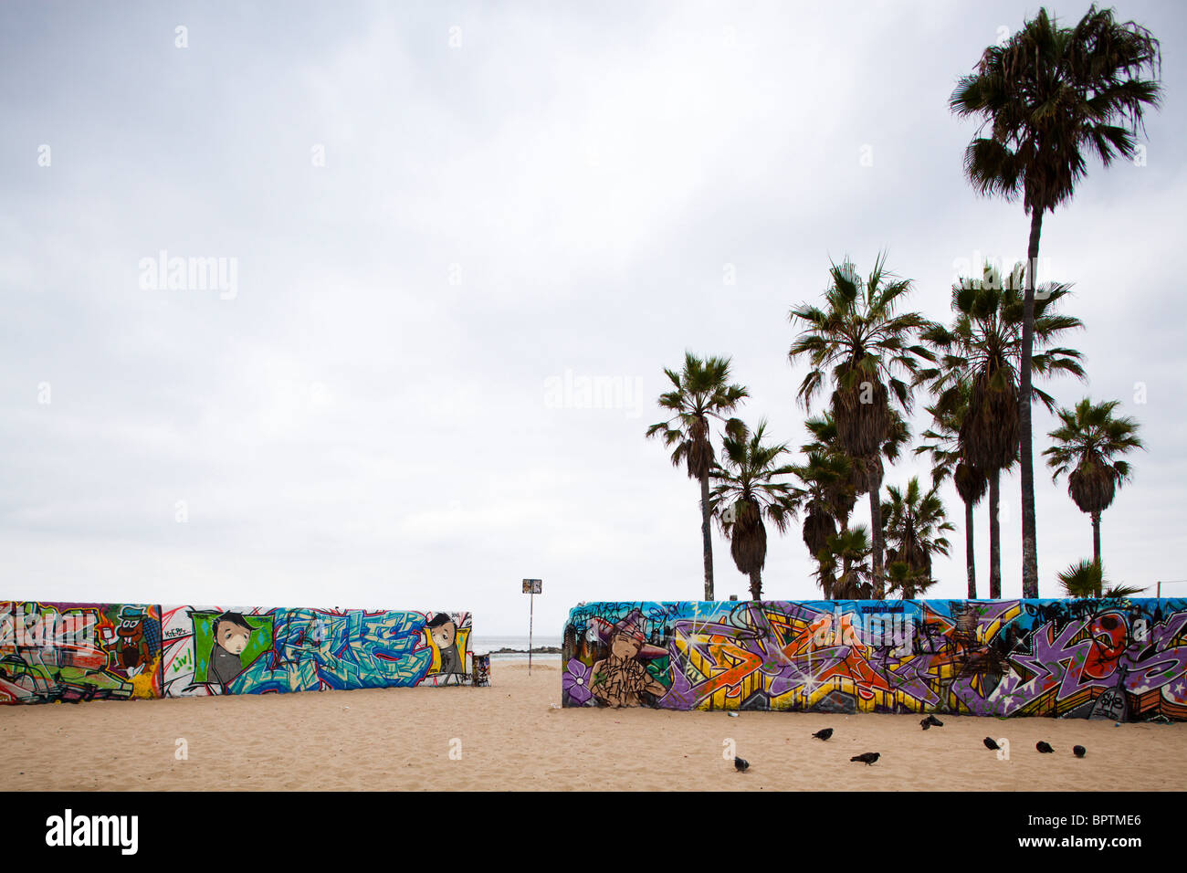 Graffiti e palme, Venice Beach, nella contea di Los Angeles, California, Stati Uniti d'America Foto Stock