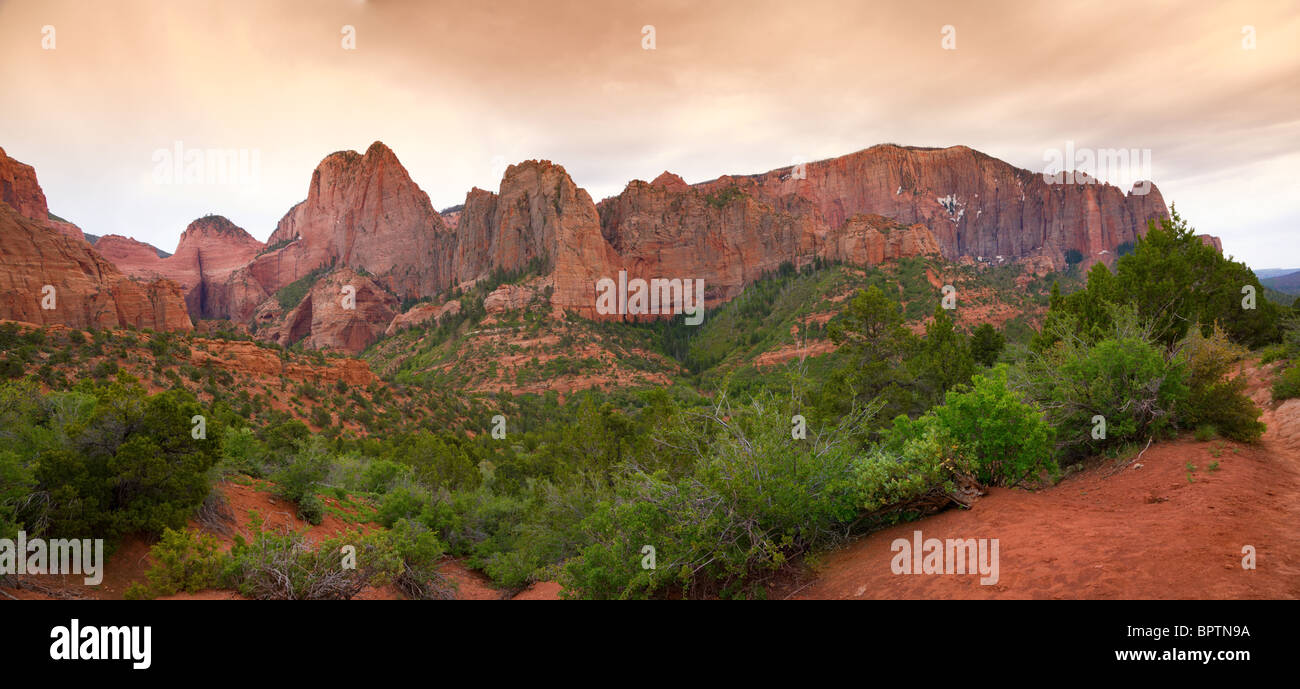 Parco Nazionale di Zion Foto Stock