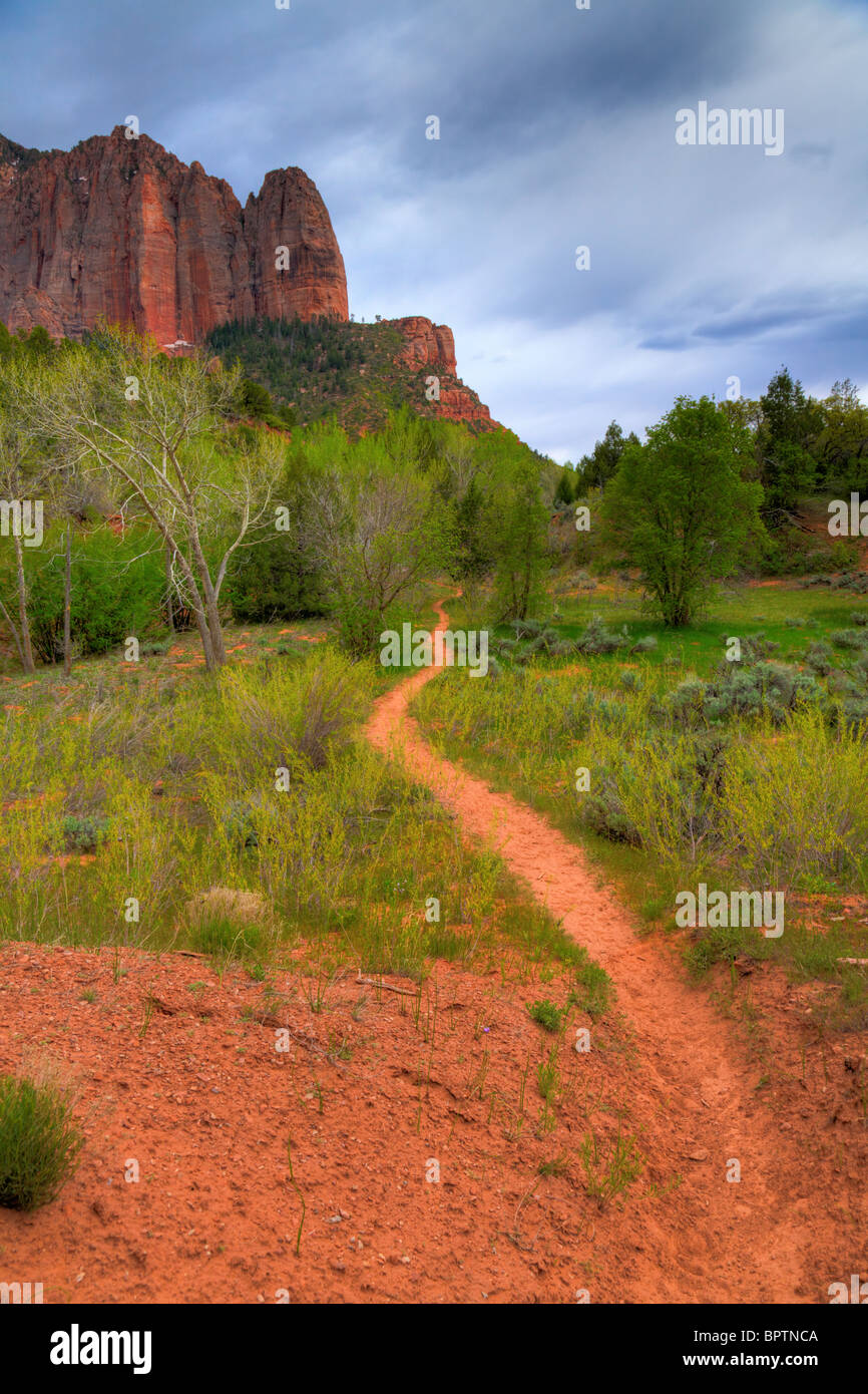 Parco Nazionale di Zion Foto Stock