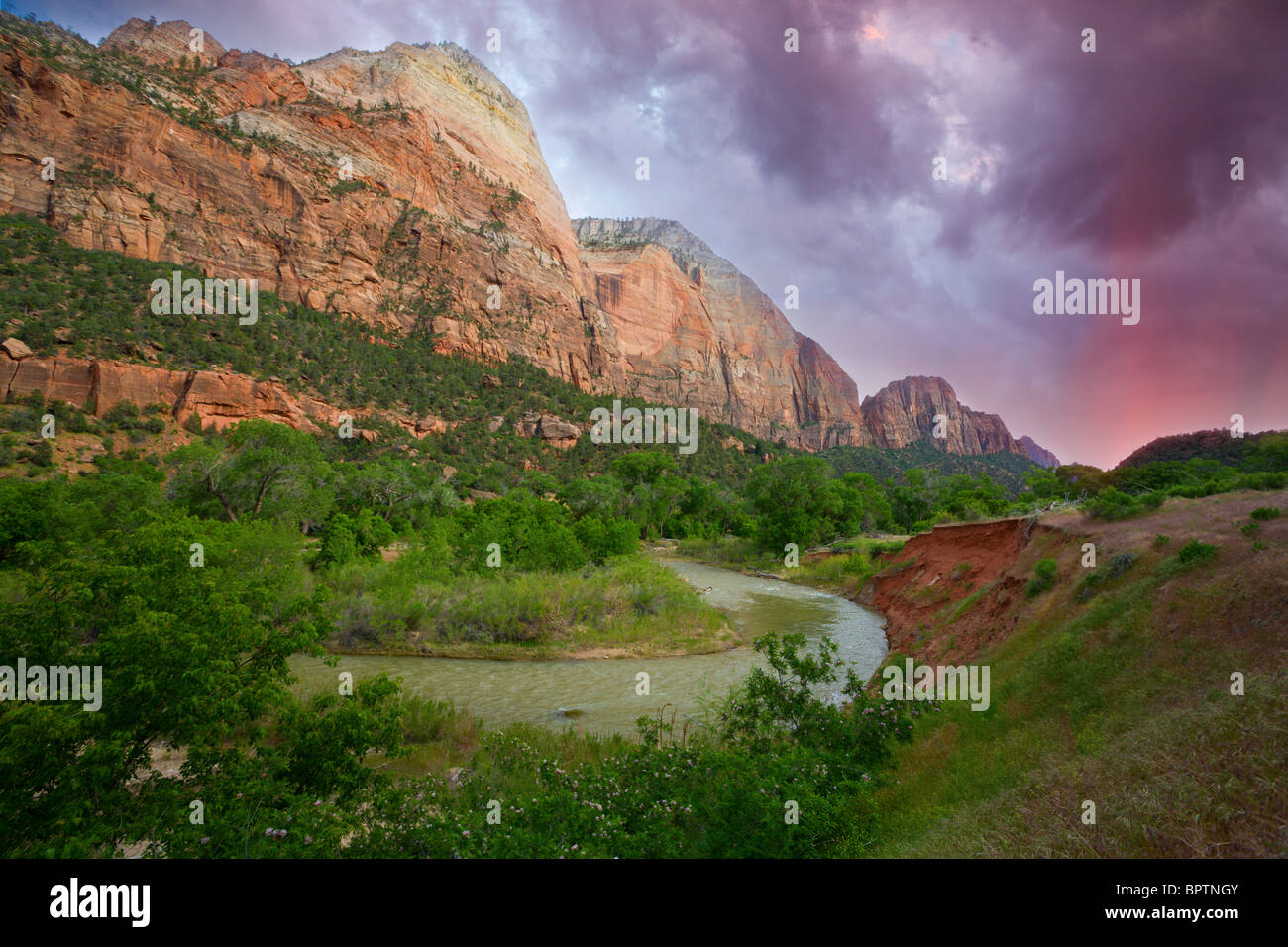 Parco Nazionale di Zion Foto Stock