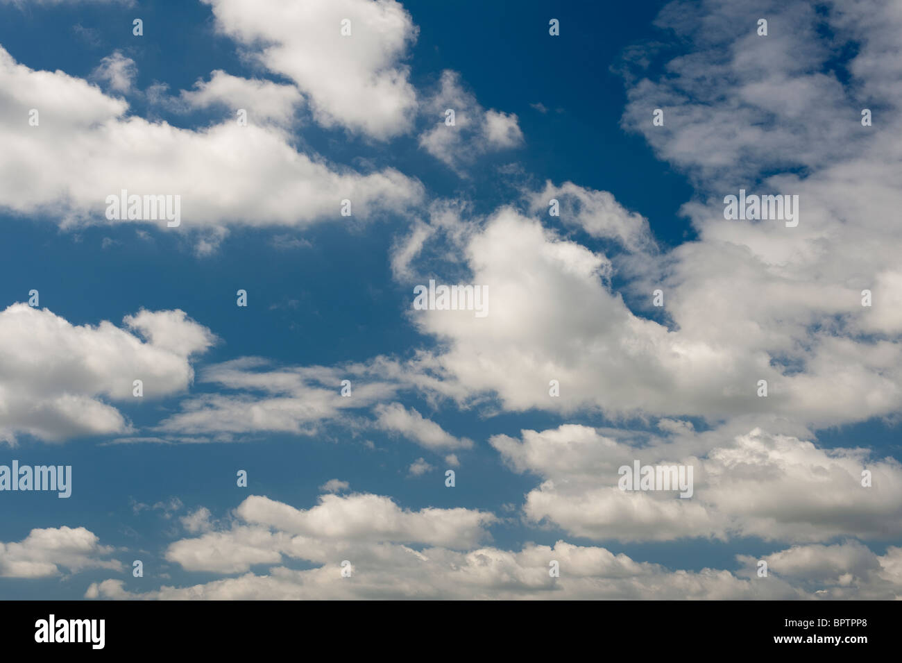 Cumulus nubi con cielo blu Foto Stock