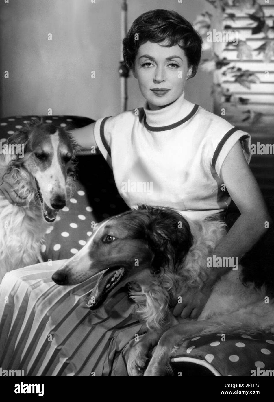 LILLI Palmer & cani attrice (1943) Foto Stock