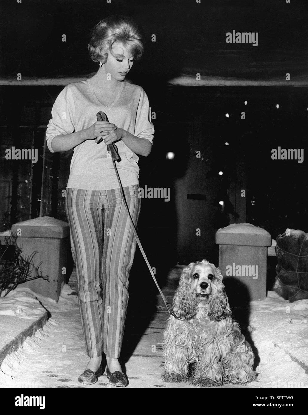 JANE FONDA & cane attrice (1962) Foto Stock