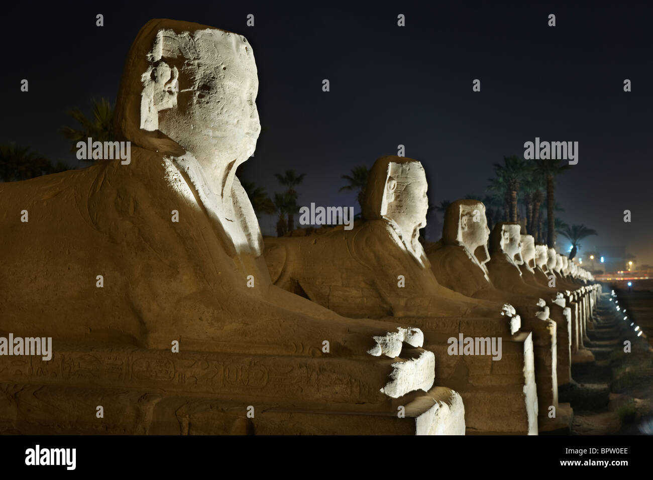 Night Shot titolo di sfingi in Tempio di Luxor, Tebe, l'Egitto, in Arabia, in Africa Foto Stock
