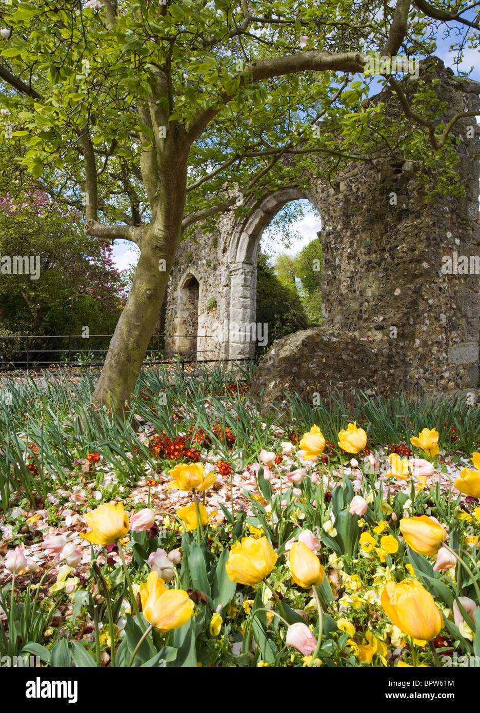 Fiori al westgate giardini arch in Canterbury Kent, Regno Unito. Foto Stock