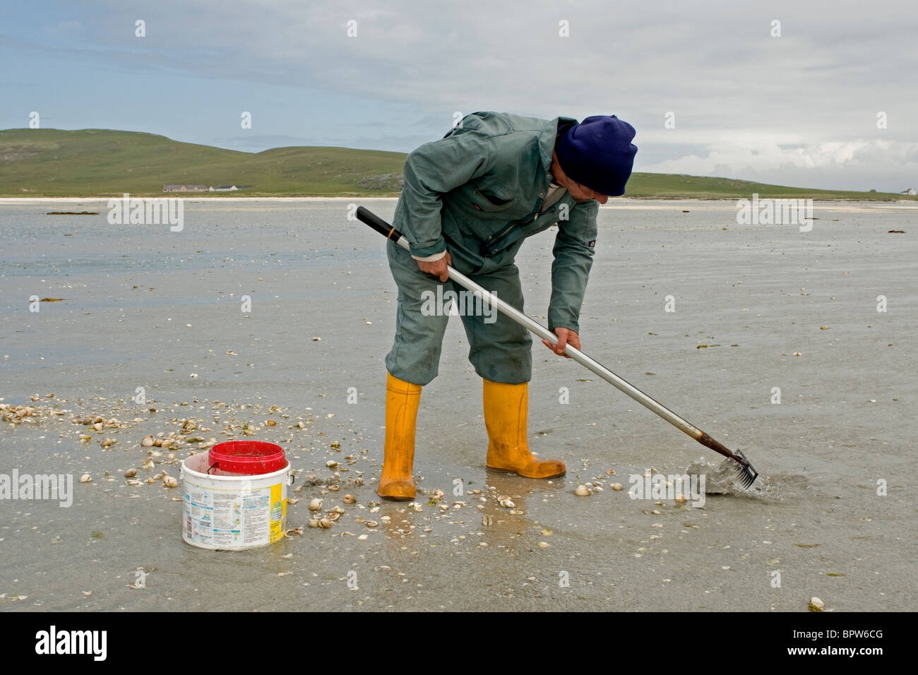 Il Cockle picker sul Traigh Mhòr trefoli sull'Isle of Barra, Ebridi Esterne, Western Isles. La Scozia. SCO 6518 Foto Stock