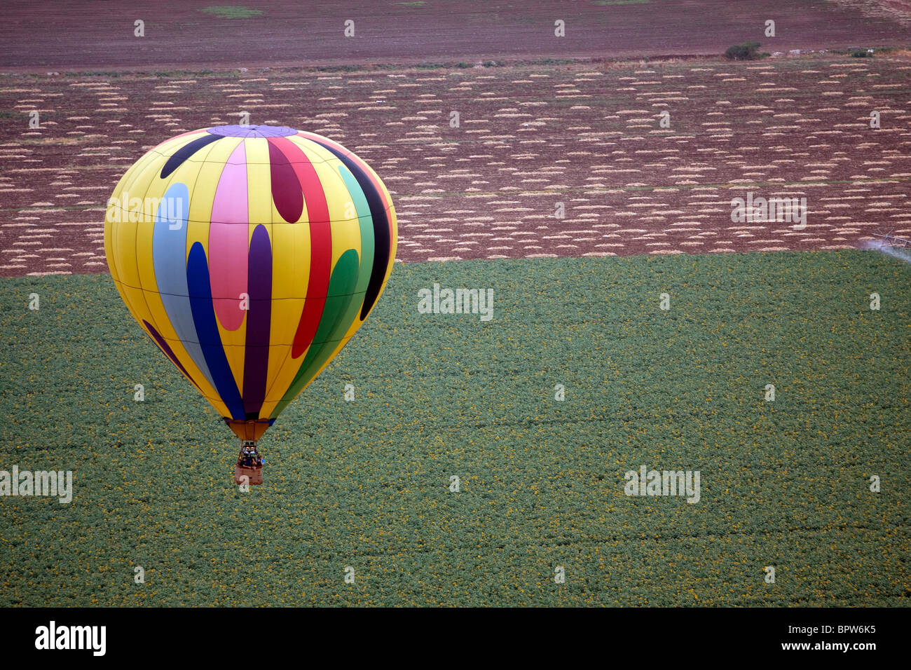 Una mongolfiera in campi di cui sopra il paesaggio Foto Stock