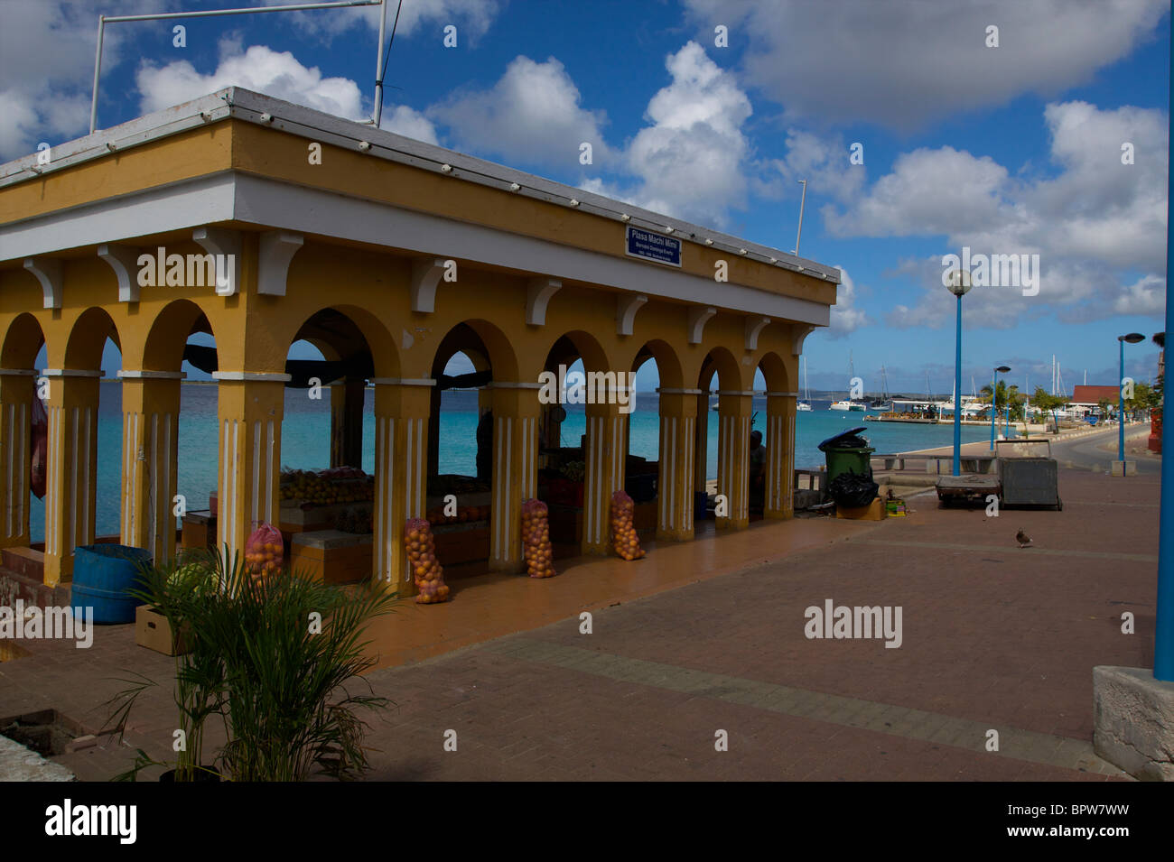Immagini Subacquee forma Bonaire Antille Olandesi Foto Stock
