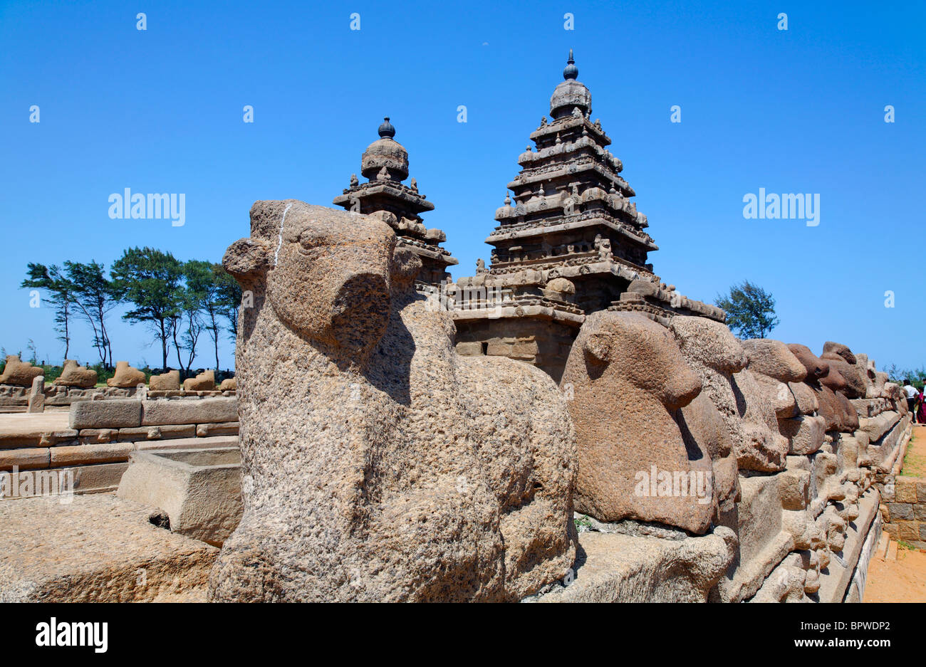 Il Tempio Shore, Mamallapuram, Tamil Nadu, India Foto Stock