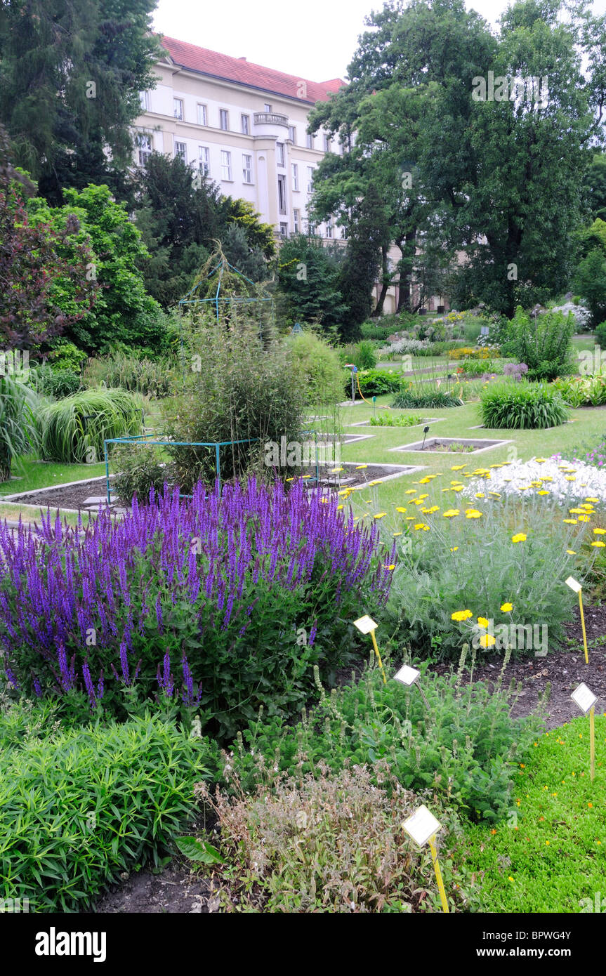 Colorate piante di confine presso il Giardino Botanico della Polonia più antico giardino botanico Foto Stock