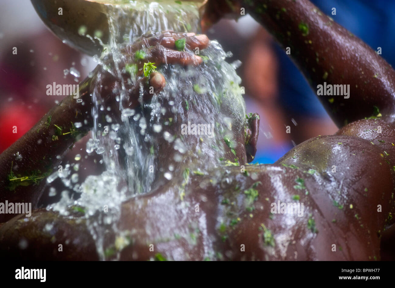 Un praticante voodoo versa acqua sopra la sua testa durante l'annuale Saut D'eau festival Voodoo in Haiti. Foto Stock