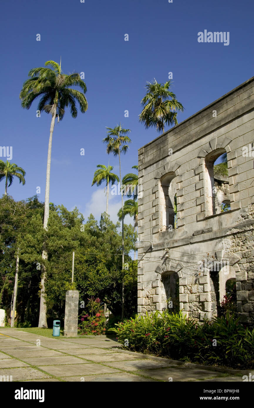 Rovine di Farley Hill Mansion in Farley Hill National Park nella parrocchia di San Pietro Foto Stock