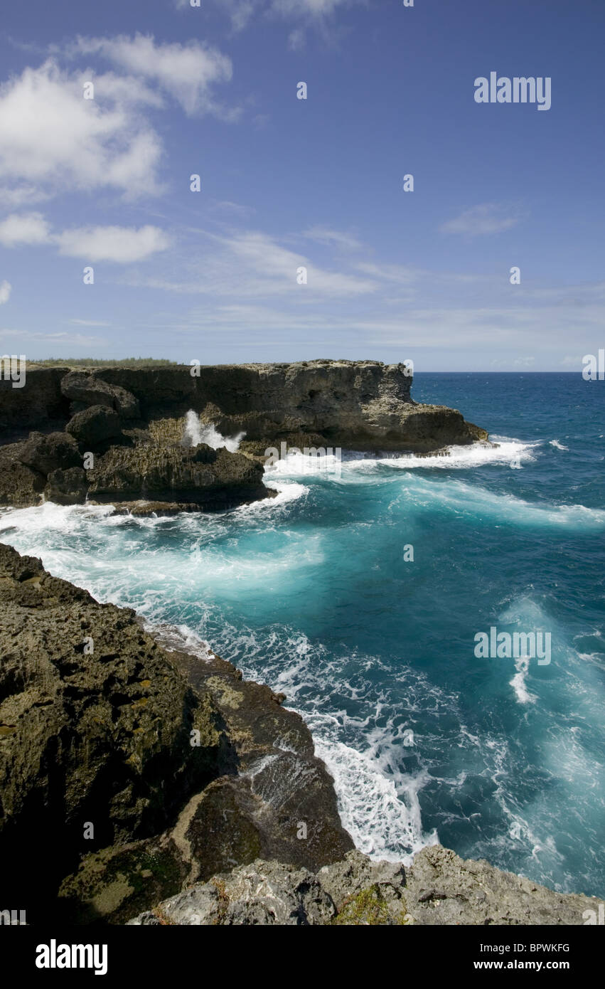 Guardando il mare dal punto Nord a fiore animale grotta nella parrocchia di Saint Lucia Foto Stock