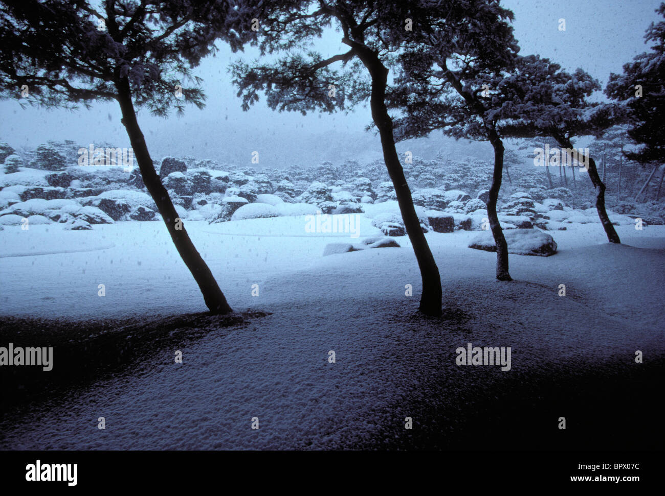 Giardini giapponesi al Adachi Museum of Art Foto Stock