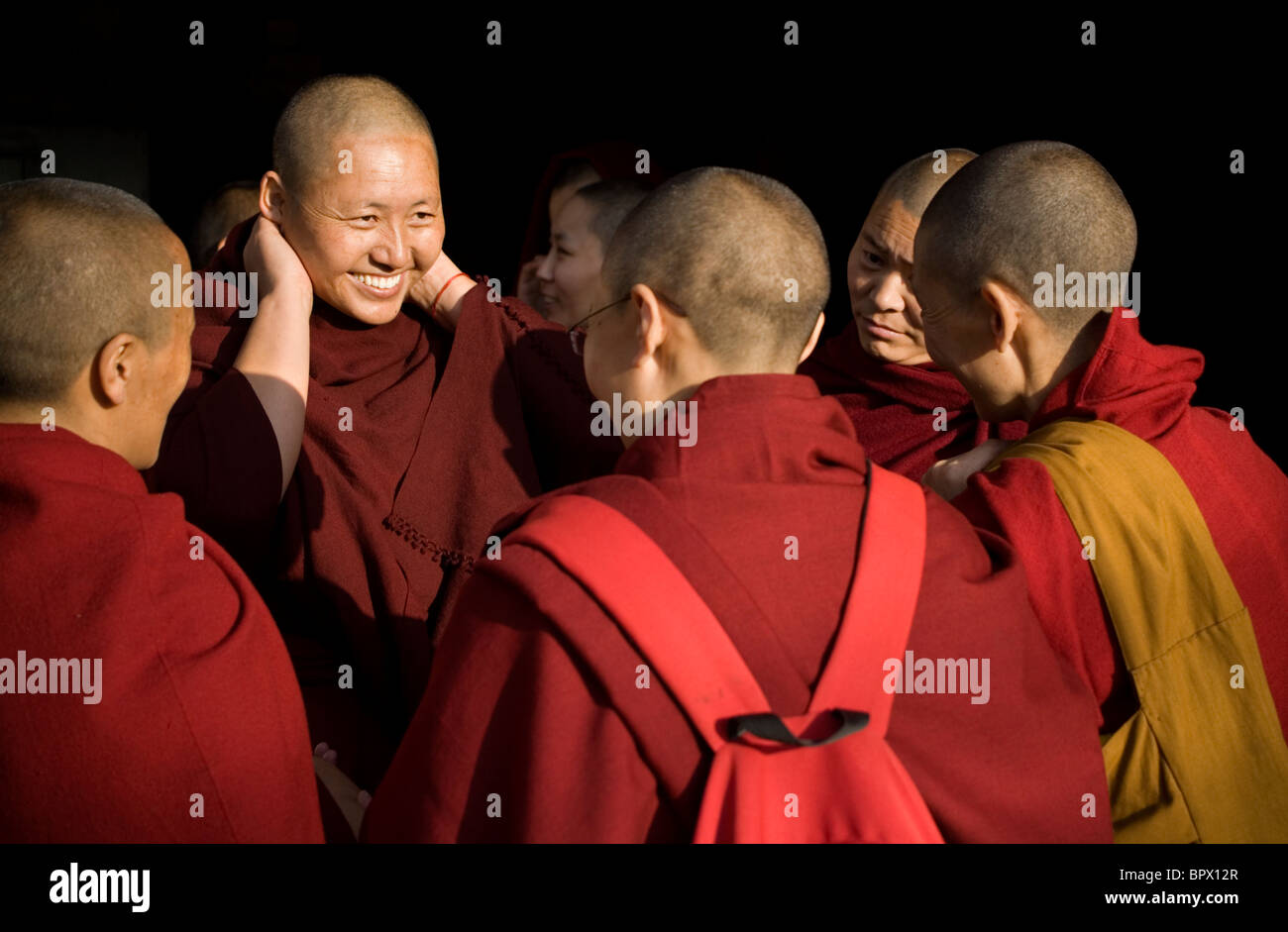 Il Tibetano monache incontro a McLeod Ganj Dharamsala, Himachal Pradesh, India. Foto Stock