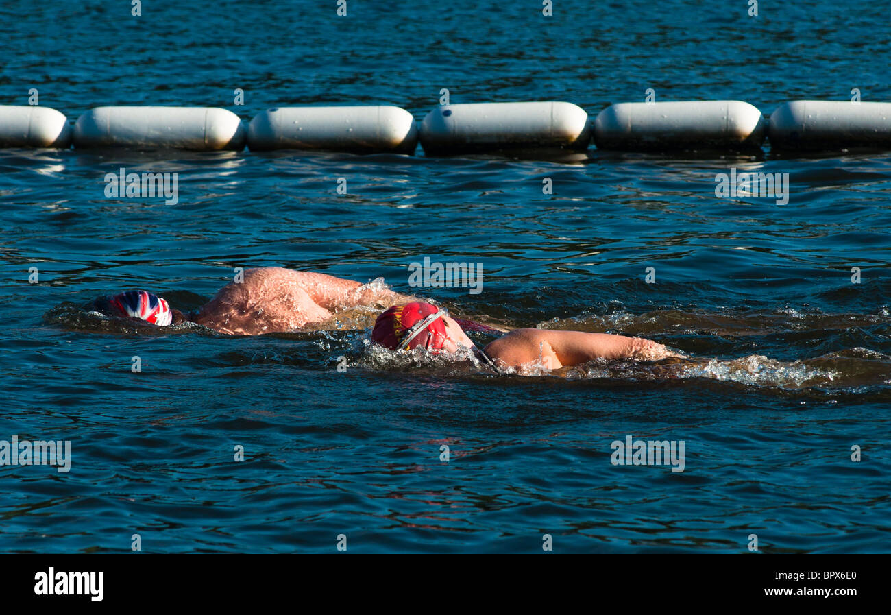 I nuotatori in Serpentine ad Hyde Park, Londra Foto Stock