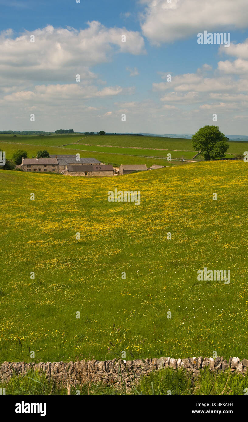 Fattoria dalla High Peak Trail Derbyshire Peak District Inghilterra Foto Stock