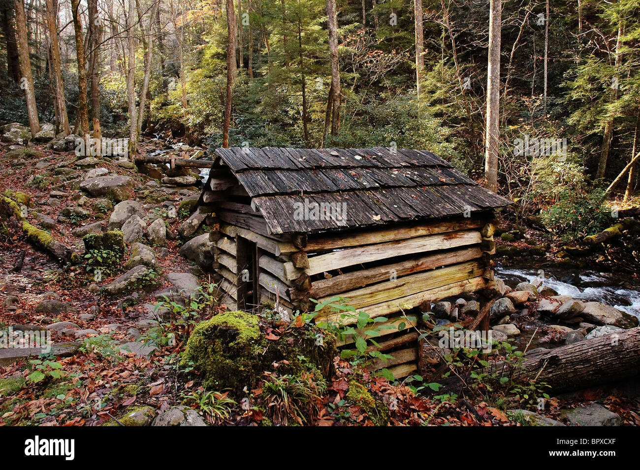 Sentiero escursionistico a Noè "Bud" Ogle podere lungo la Roaring Fork auto il tragitto della gita nel Parco Nazionale di Great Smoky Mountains Gatlinburg TN Foto Stock