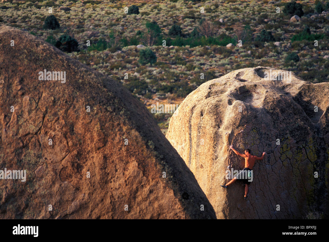 L'uomo arrampicata su roccia / bouldering al latticello massi vicino al Vescovo, California Foto Stock