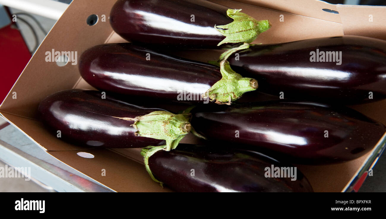 Scatola con sei fresco intero viola melanzane Foto Stock