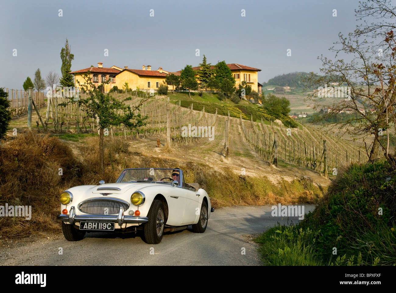 Austin Healey 3000MKIII 1965 sulla strada del vino Barolo regione in Italia Foto Stock