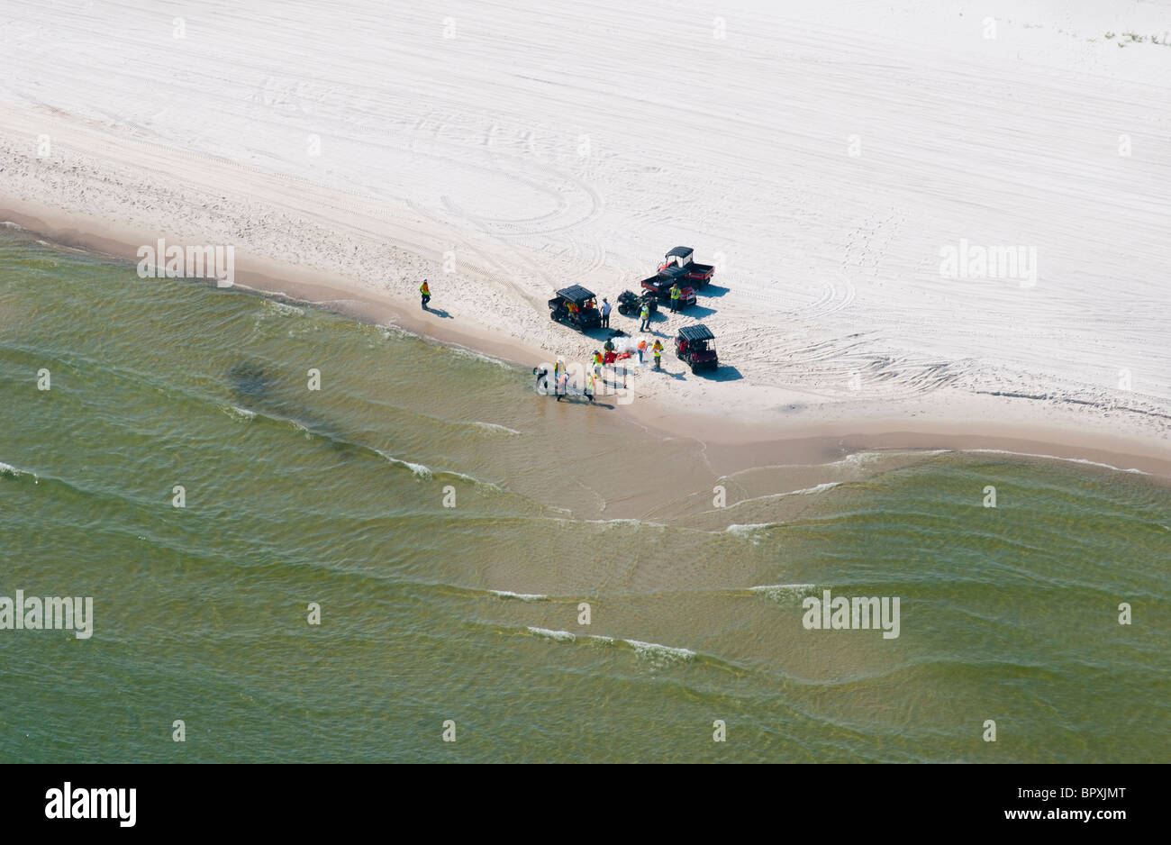 Gli equipaggi olio pulito da spiaggia, Orange Beach, Alabama. Foto Stock