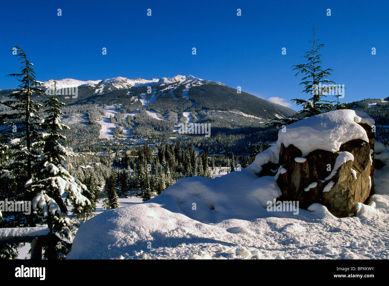 Whistler, BC, British Columbia, Canada - Paesaggio invernale e piste da sci sul Monte Blackcomb Foto Stock