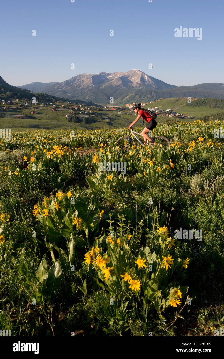 Woman mountain bike, Colorado. Foto Stock
