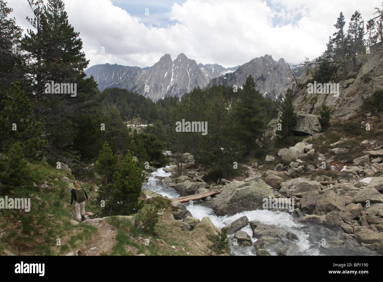 Alta foresta alpina e Els Encantats picco di montagna sui Pirenei attraversare via Sant Maurici Parco Nazionale Pirenei Spagna Foto Stock
