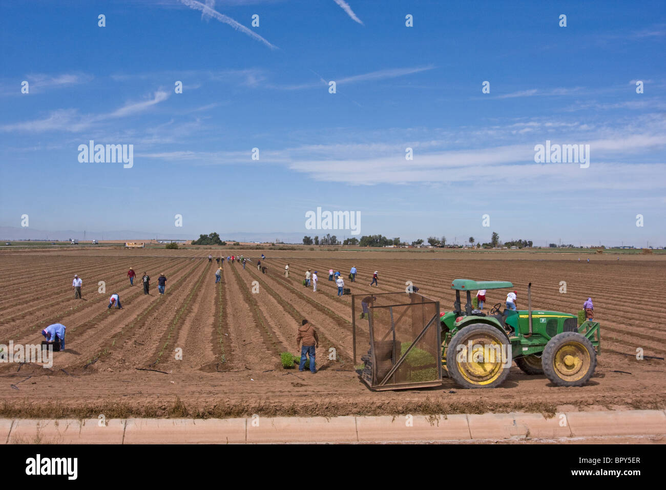 La frutta e la verdura sono grandi colture della Imperial Valley, CA. Stati Uniti d'America Foto Stock