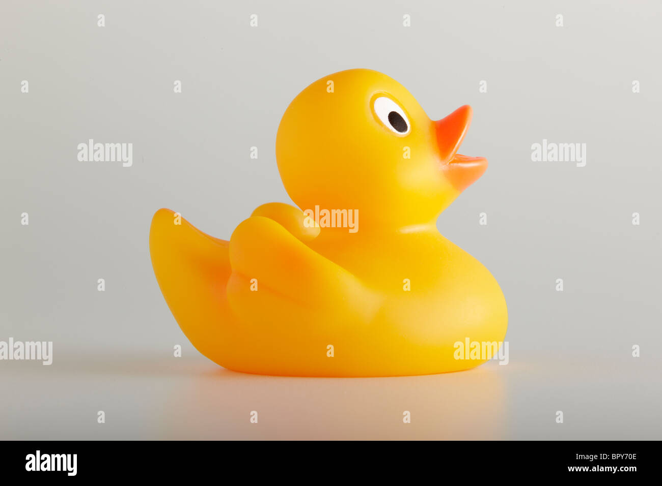 Giallo anatra di gomma Foto Stock