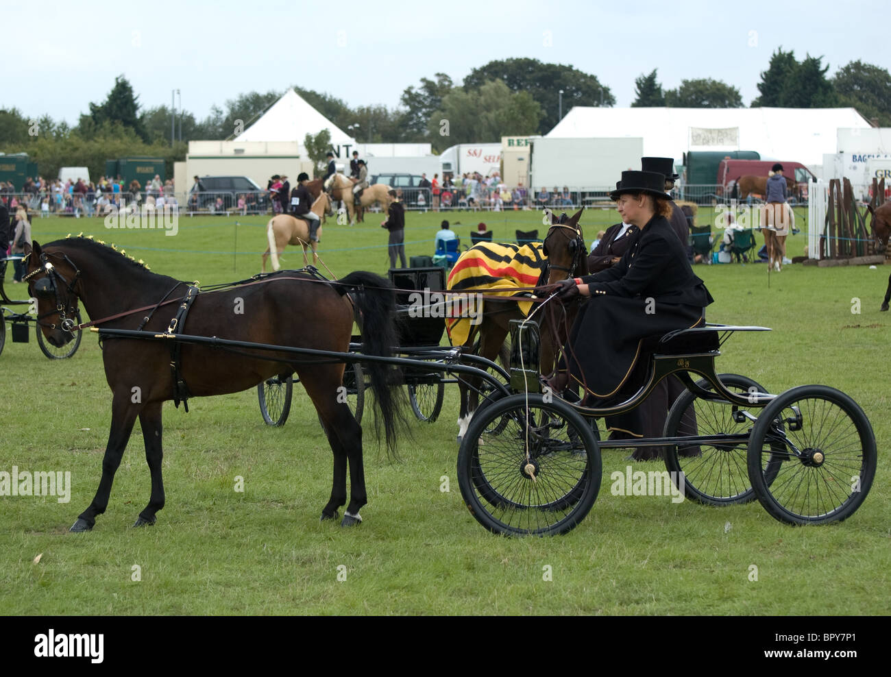 Hackney carrello pony e driver . orsett county visualizza Foto Stock