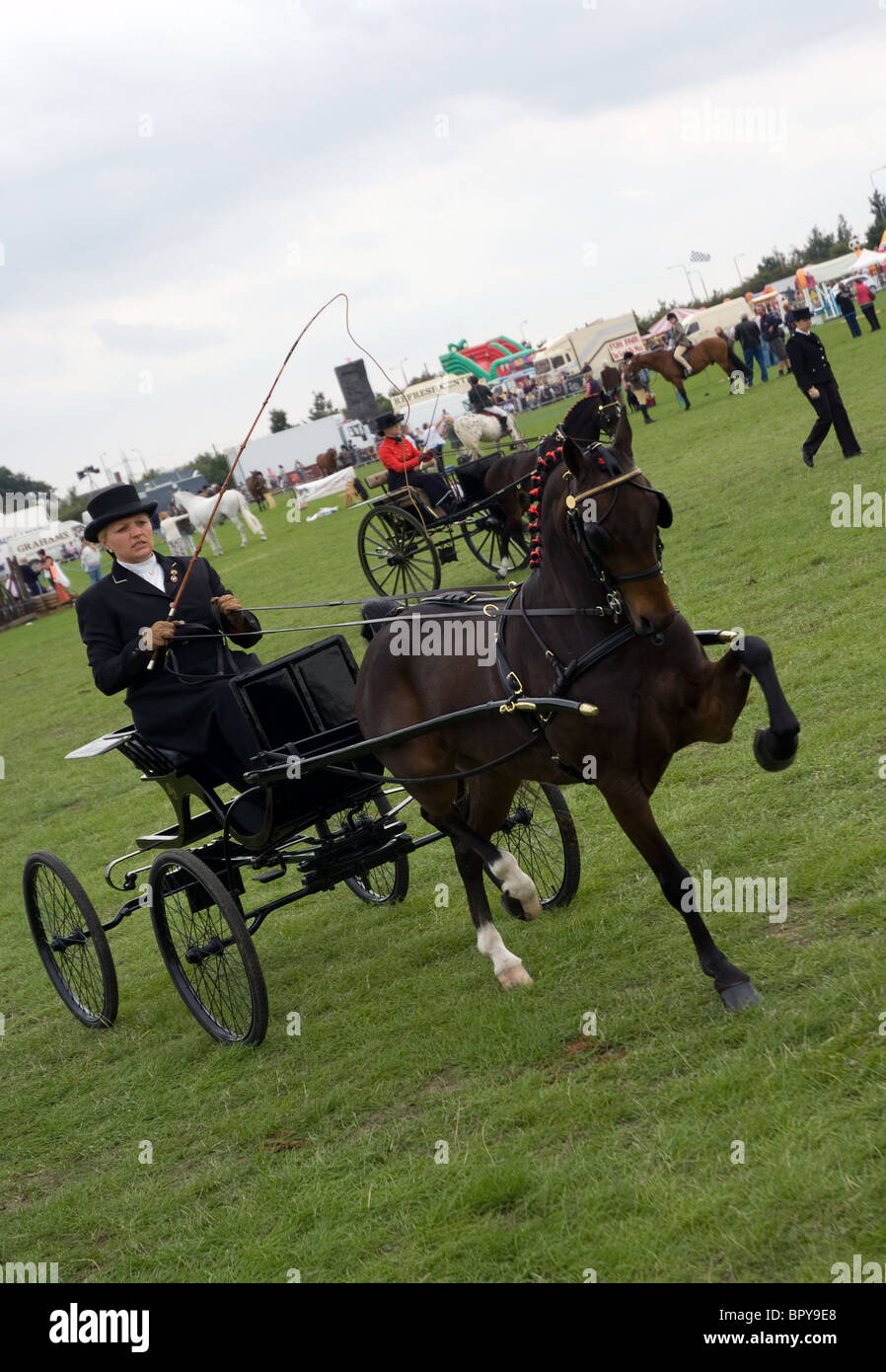 Hackney carrello pony e conducente a orsett county visualizza Foto Stock