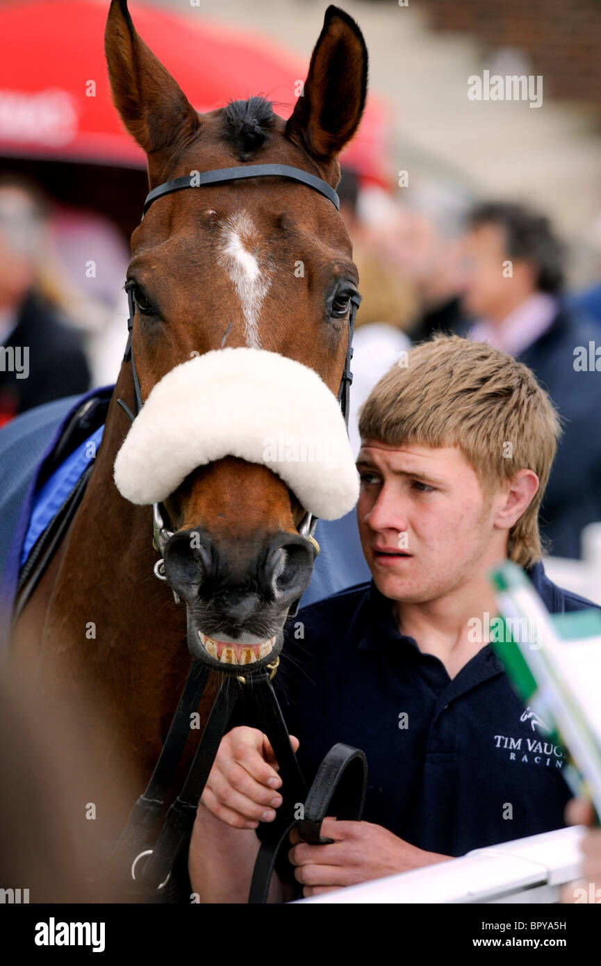 Plumpton gare nel Sussex - un cavallo sembra essere sorridente alla folla come immettere la sfilata anello. Foto da Jim Holden Foto Stock