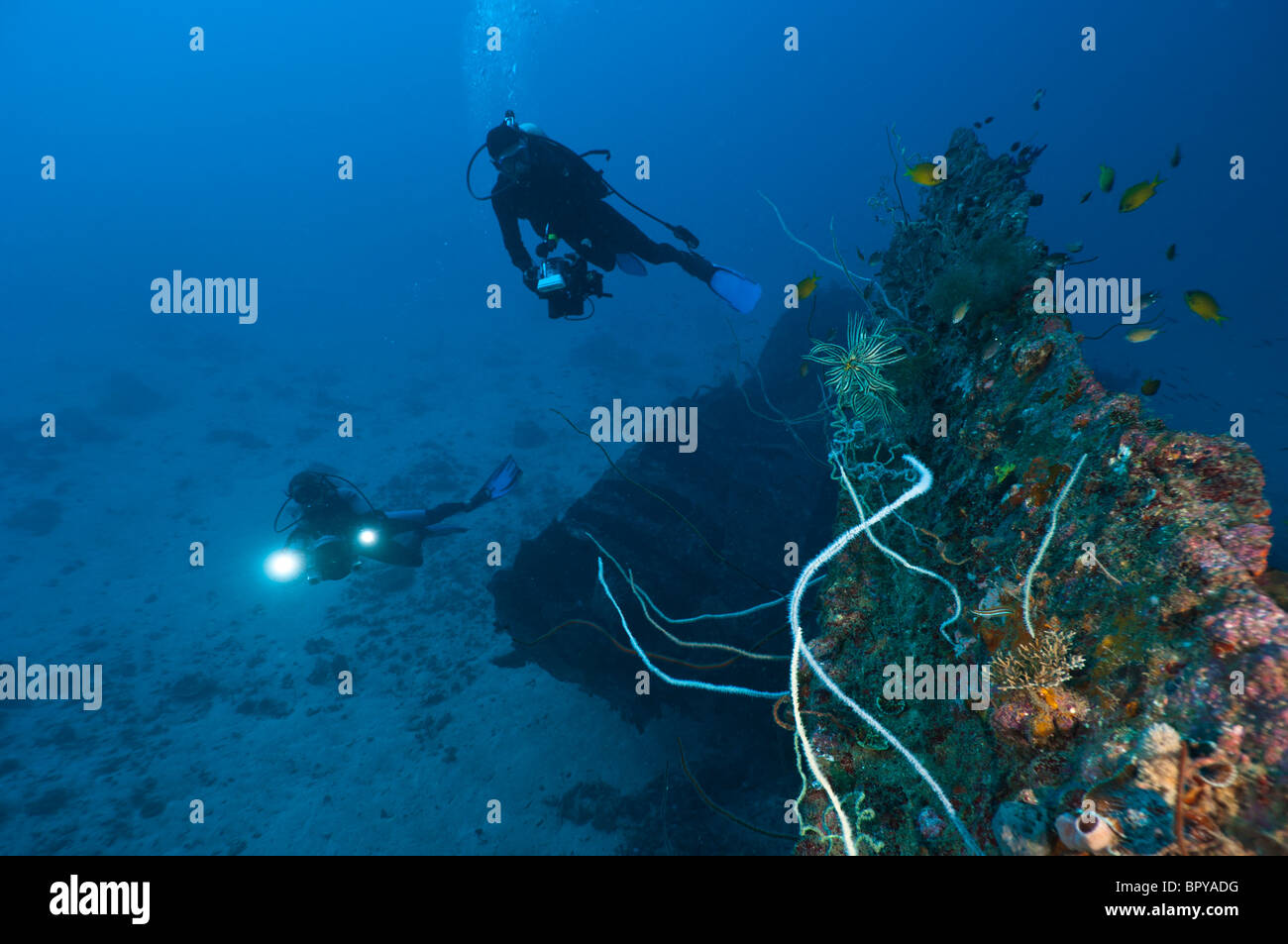 I subacquei ad esplorare un profondo relitto non identificato nei pressi di Manokwari, Papua occidentale, in Indonesia. Foto Stock