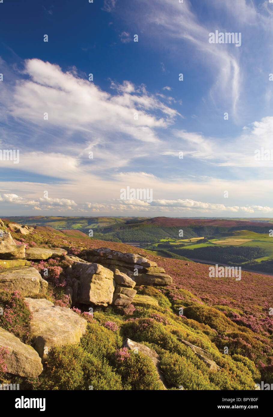Bordo Derwent e serbatoio Ladybower, la parte superiore della valle del Derwent, Derbyshire, Peak District, England Regno Unito Foto Stock