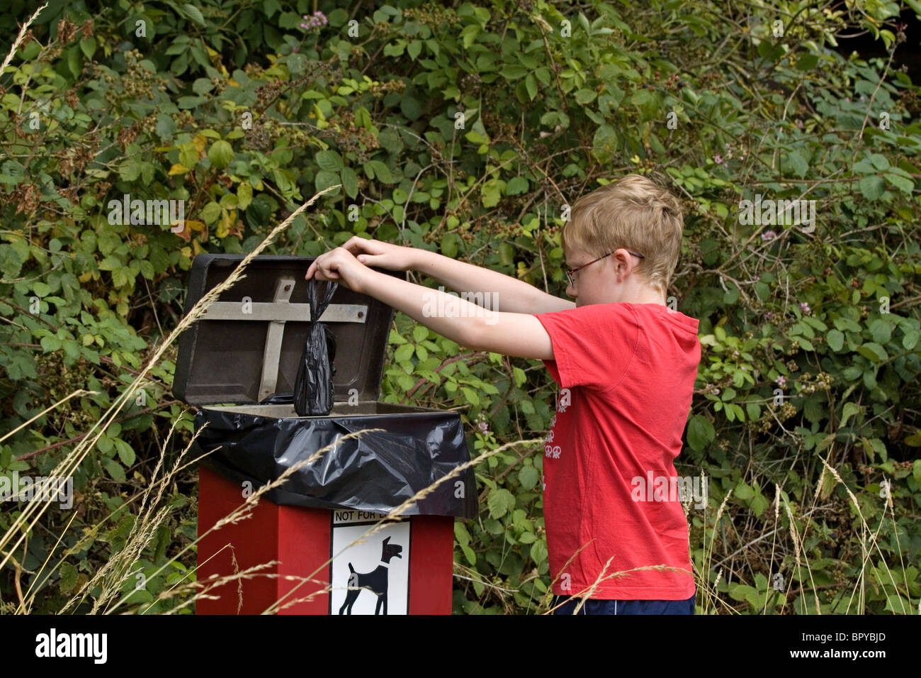 Un ragazzo di undici anni è visto responsabilmente mettendo in sacchi di rifiuti del cane in un cane bidone dei rifiuti Foto Stock