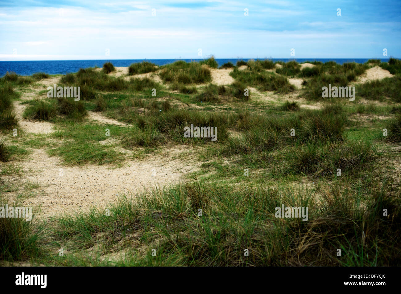 Le dune di sabbia a Walberswick sulla costa di Suffolk Foto Stock