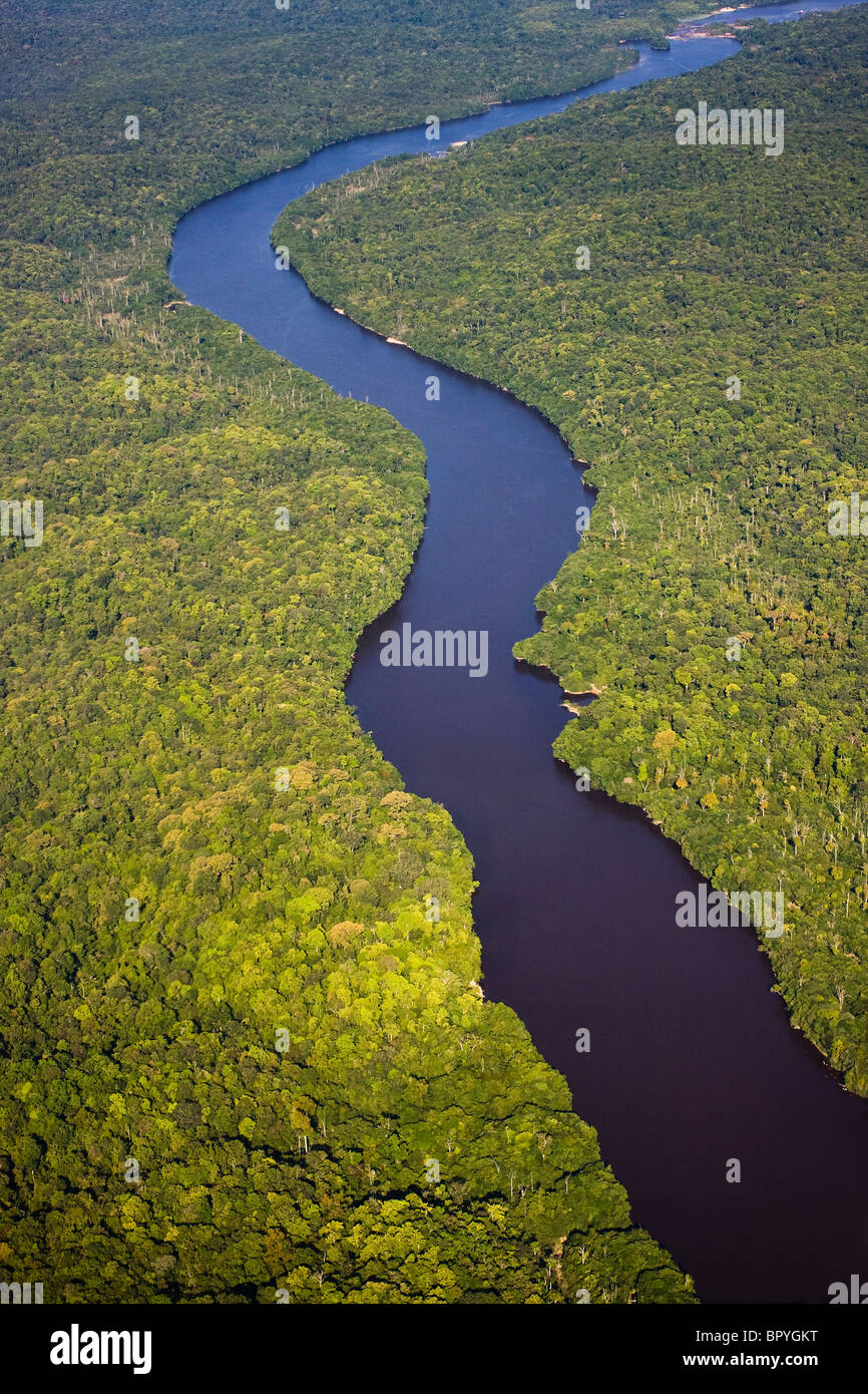 Antenna della foresta pluviale, fiume Potaro, Guyana, Sud America. Foto Stock