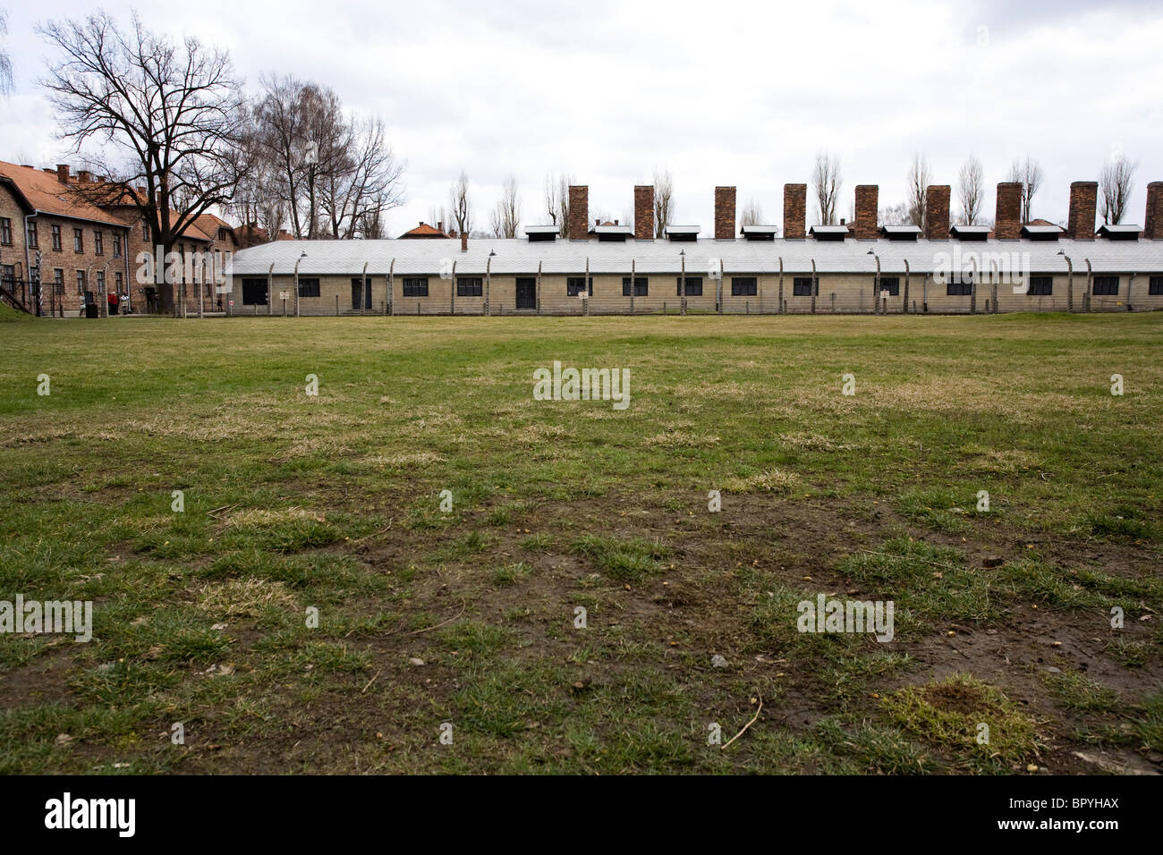 La sistemazione dei blocchi a Birkenau Campo di Concentramento, Polonia Foto Stock