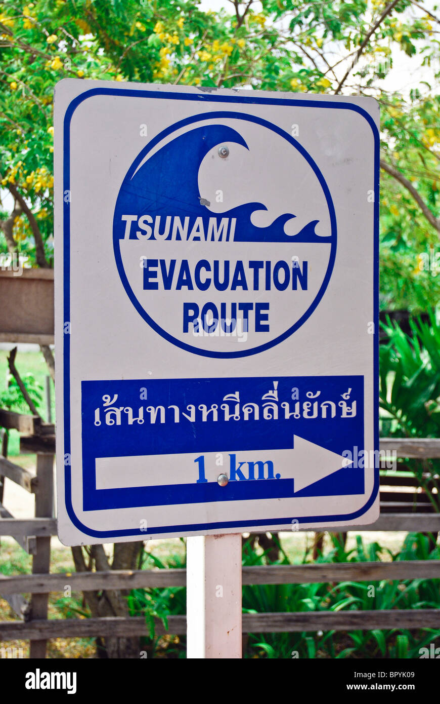 Il segnale dello tsunami board nell isola di Phi Phi thailandia Foto Stock