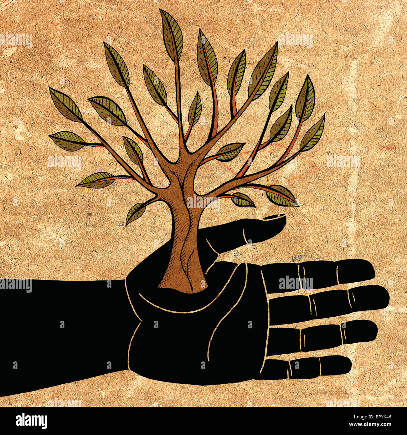Il palmo di una mano che tiene un piccolo albero Foto Stock