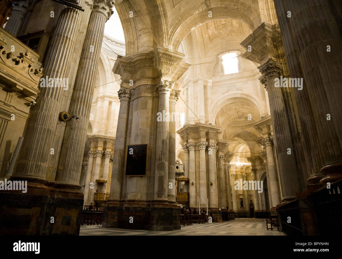Interno / all'interno della cattedrale di Cadice. Cadice. Andalusia. Spagna. Foto Stock