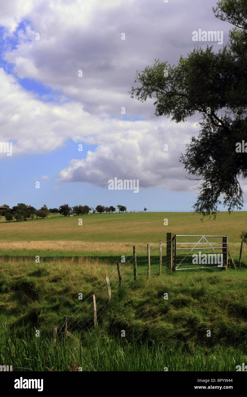 Una vista tipica di campagna attorno a piccoli Hythe, Kent, Inghilterra Foto Stock