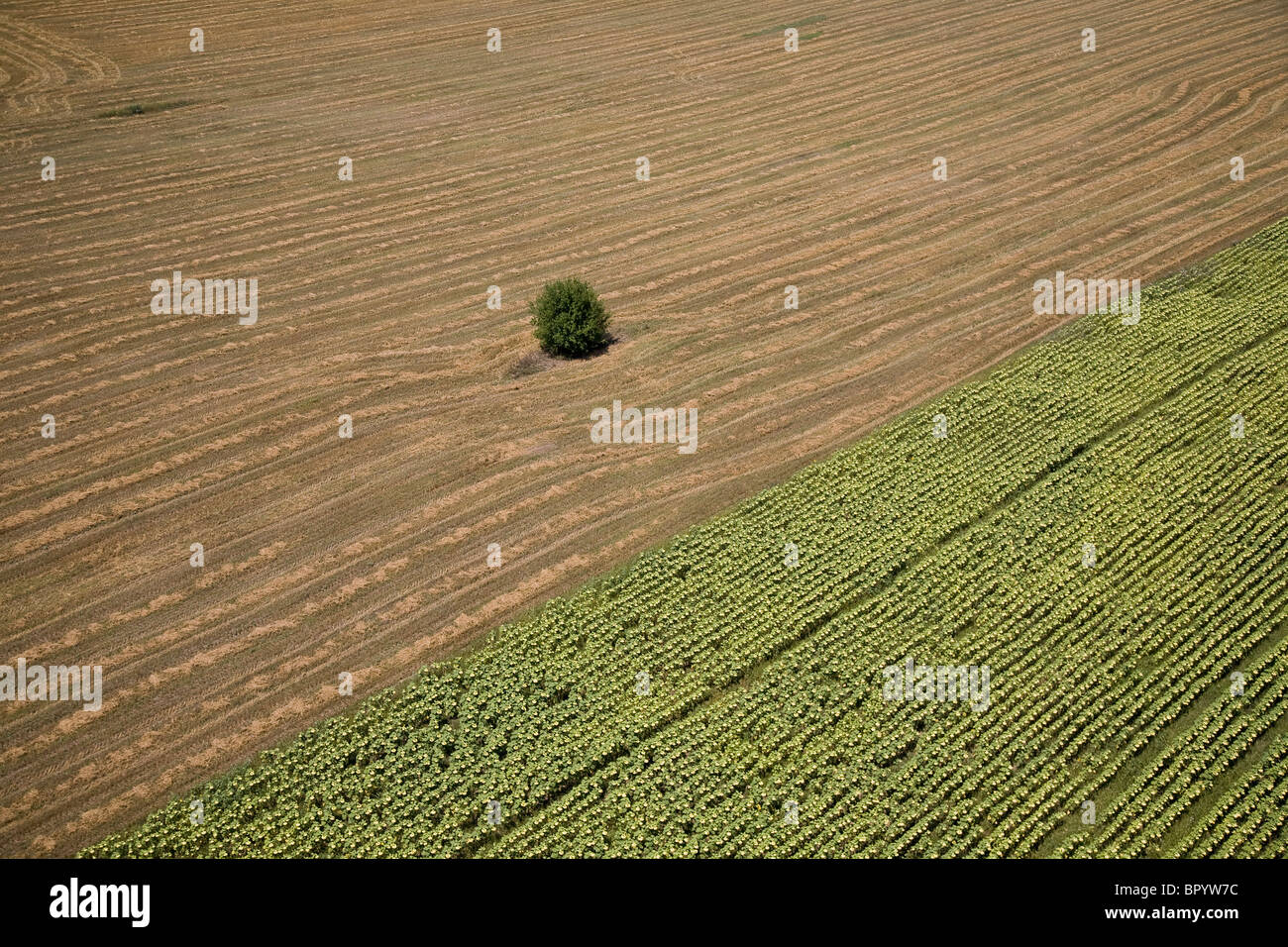 Fotografia aerea della Romania lato paese Foto Stock