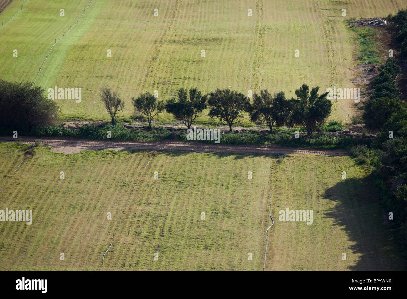 Vista aerea dell'agricoltura campi della Galilea Foto Stock