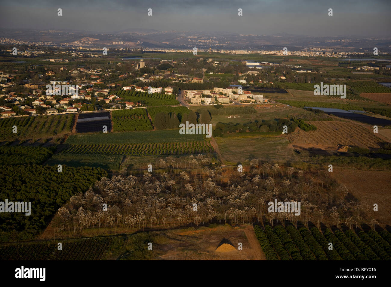 Fotografia aerea dell'agricoltura i campi di Sharon Foto Stock